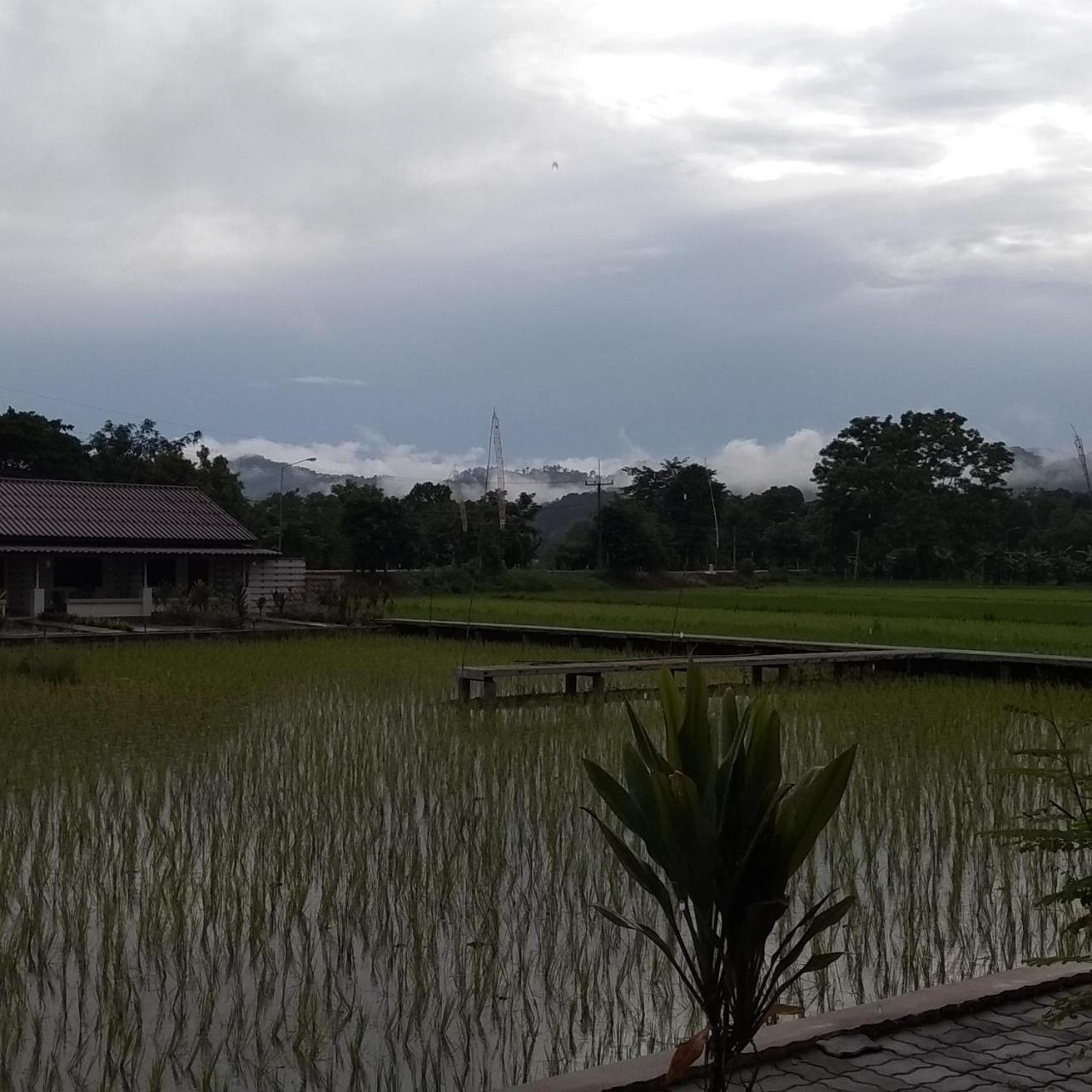Ban Lom Jen Homestay Чианг Рай Екстериор снимка